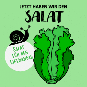 c: GRÜMIs Salat
