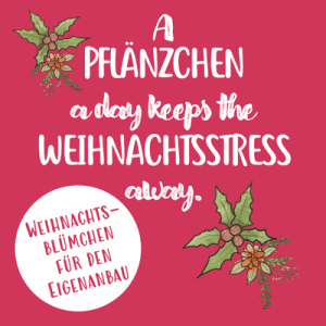 c. Grümis Weihnachtsstress