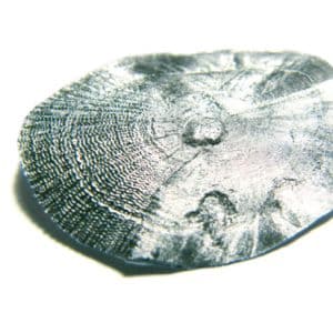 Glücksbringer Karpfenschuppe