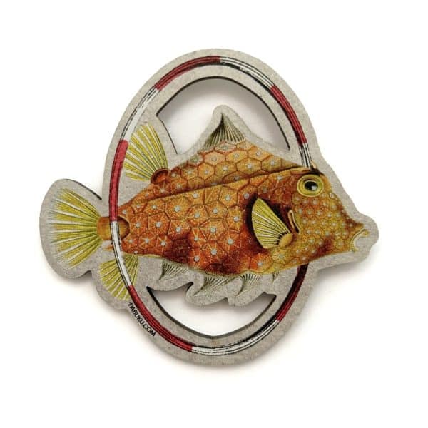 c: Pabuku Magnete