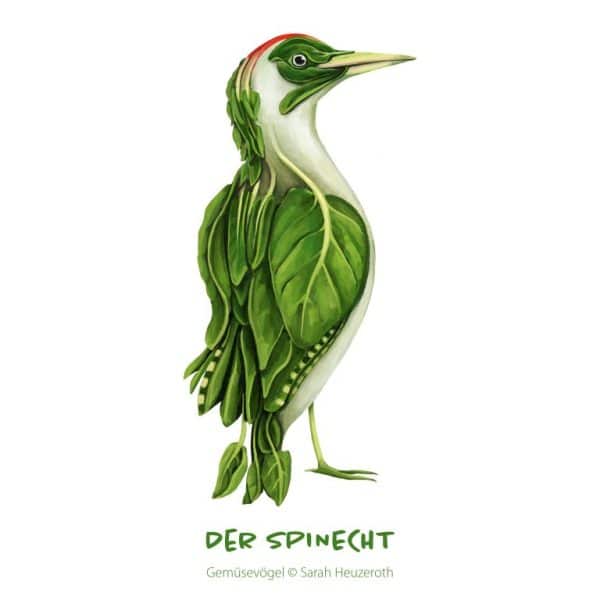 c: Sarah Heuzeroth Der Spinecht