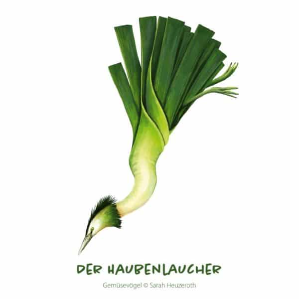 c: Sarah Heuzeroth Der Haubenlaucher