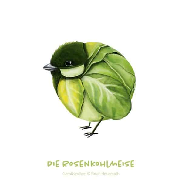 c: Sarah Heuzeroth Die Rosenkohlmeise