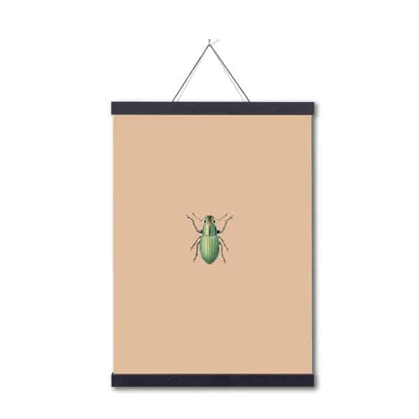 c: 30x40 Green