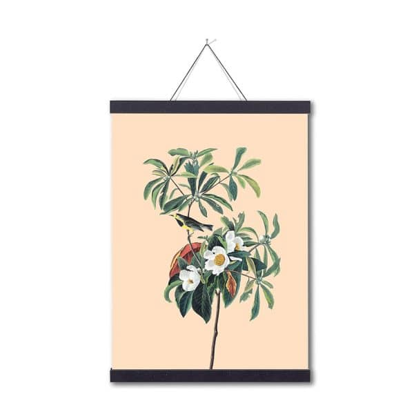 c: 30x40 Spring