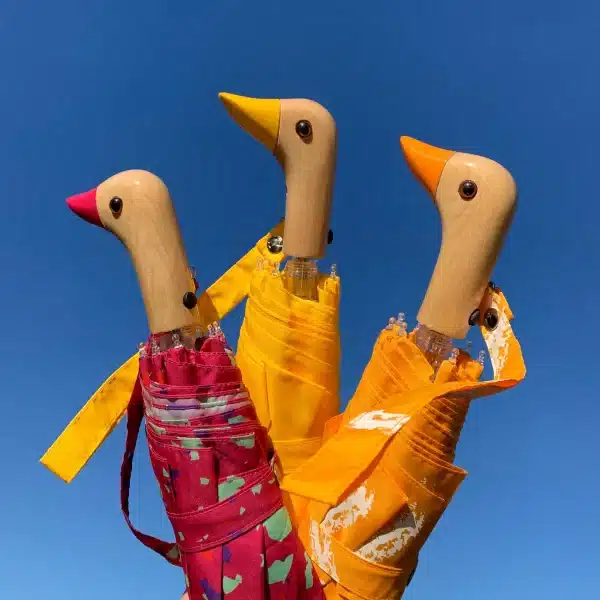 c: Duckhead