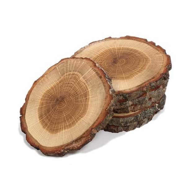 c: Rio Londo Tree4Tea Birke