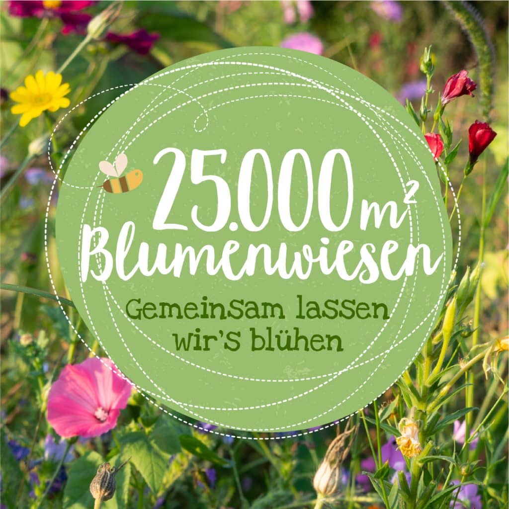 c: Die Stradtgärtner -Blühpatenschaft
