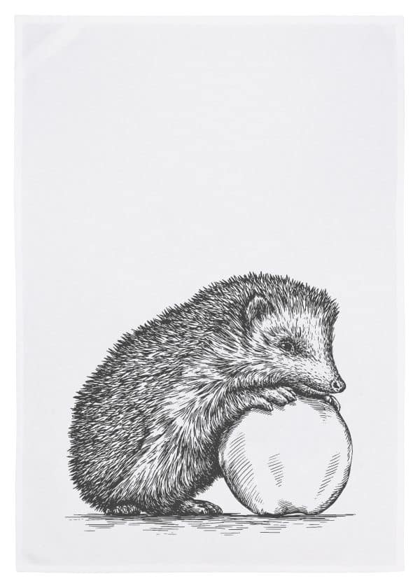 c: 17;30 Igel