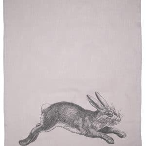 c: 17;30 Hase Leinen