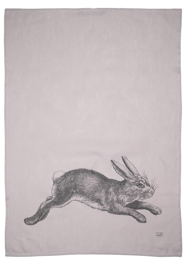c: 17;30 Hase Leinen