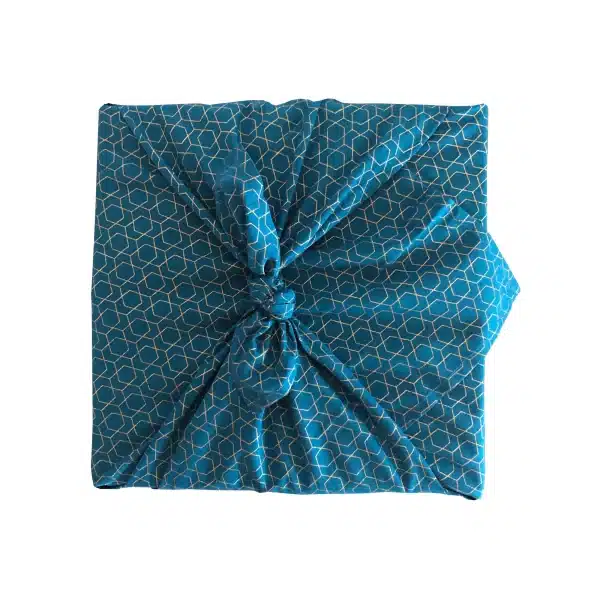 c: FabRap Ocean Geometric