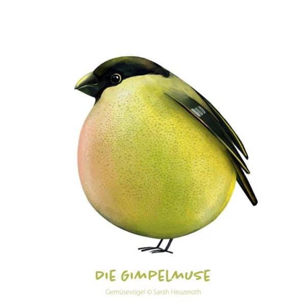 c: Sarah Heuzeroth: Die Gimpelmuse