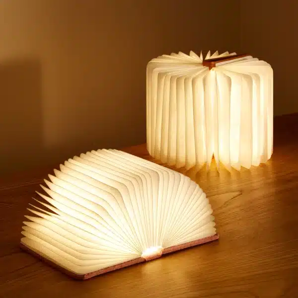 Book Light Leuchte