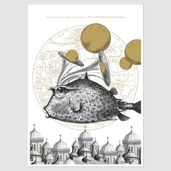 c: Pabuku Poster Golden Fish