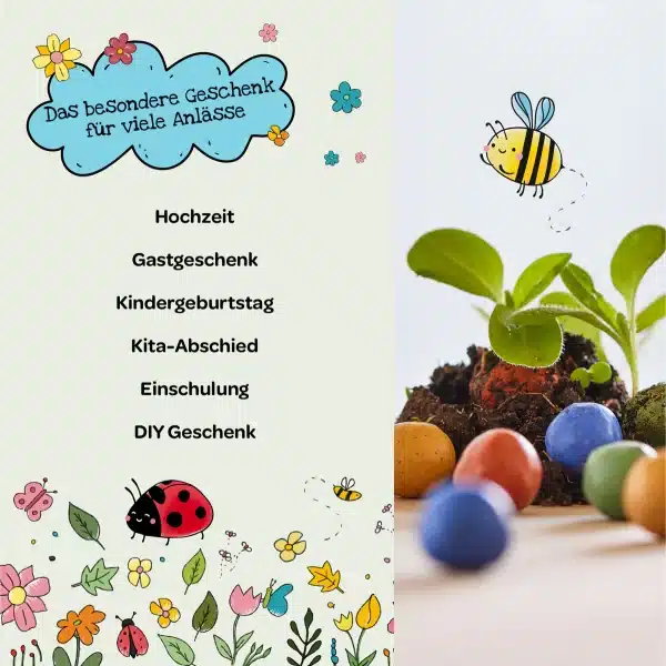 c: Stadtgärtner Blumenmurmeln