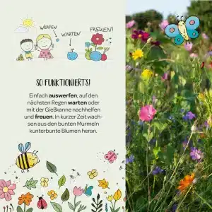 c: Stadtgärtner Blumenmurmeln