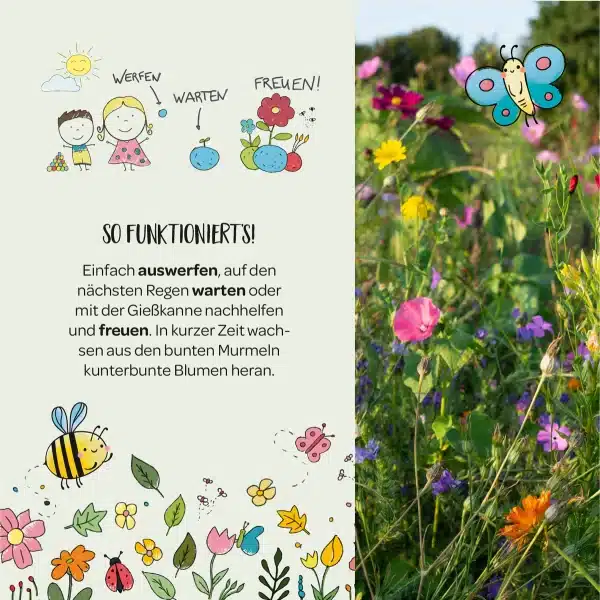 c: Stadtgärtner Blumenmurmeln