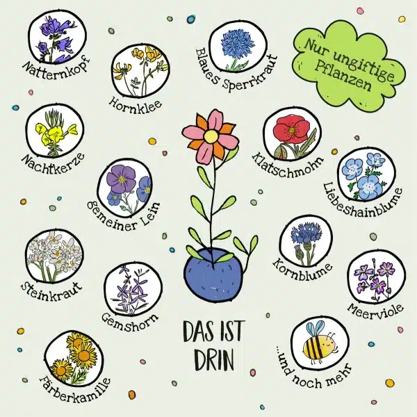 c: Stadtgärtner Blumenmurmeln