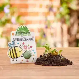 c: Stadtgärtner Blumenmurmel Einzel