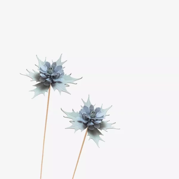 c: Millimétrée Distel