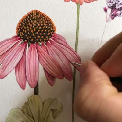 c: Aikona Karte Sommerblumen