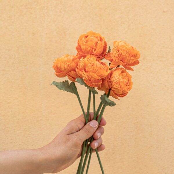 c: Flowrette Ranunkel